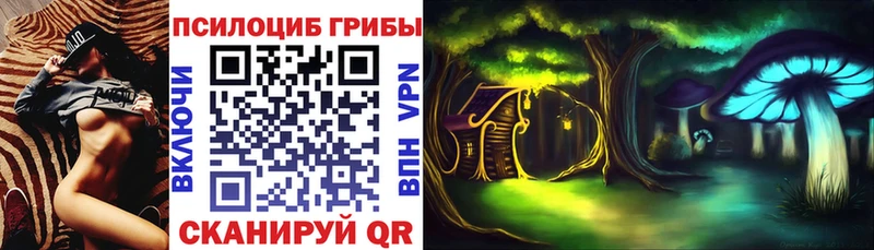 Псилоцибиновые грибы Psilocybine cubensis Черногорск