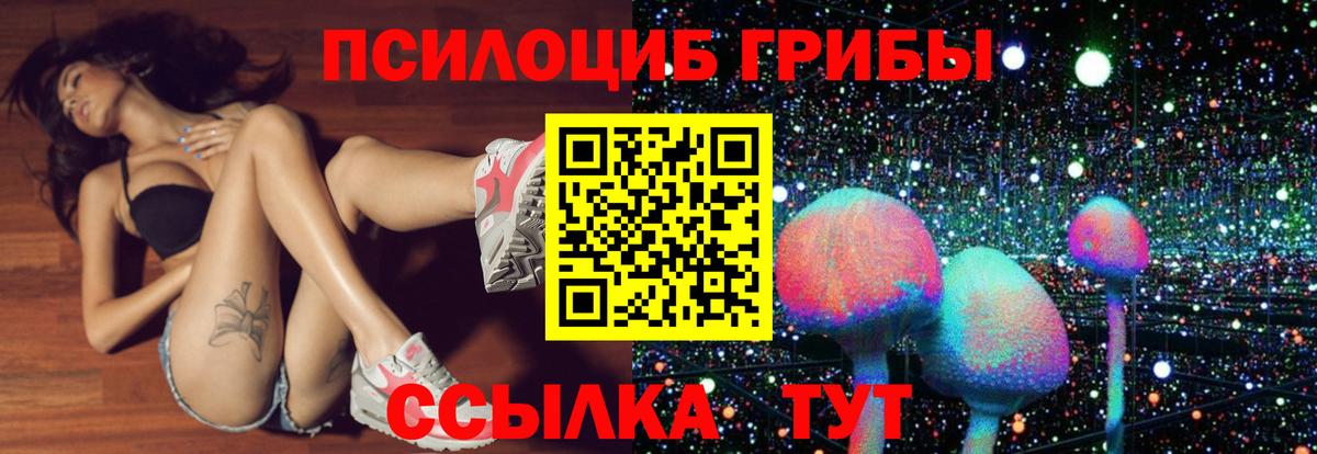 Галлюциногенные грибы ЛСД Черногорск