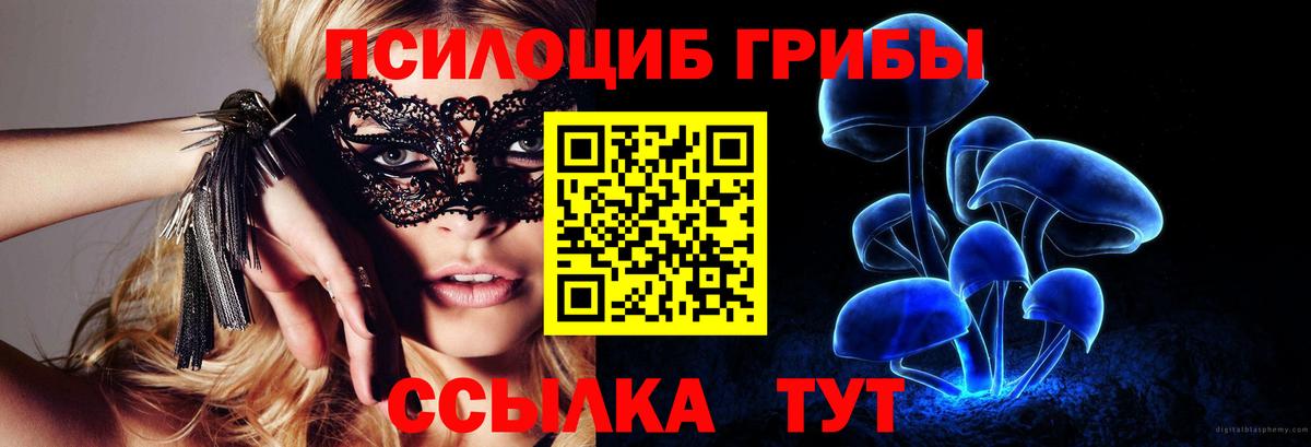 Псилоцибиновые грибы GOLDEN TEACHER  Вход с VPN  Черногорск  Псилоцибиновые грибы Psilocybe 